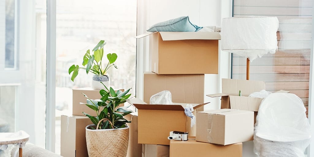 Ottawas Cross-Border Brilliance