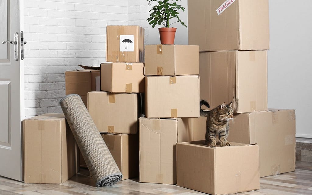 Pro Metro Movers' Pro Guide to Storage Solutions in Ottawa