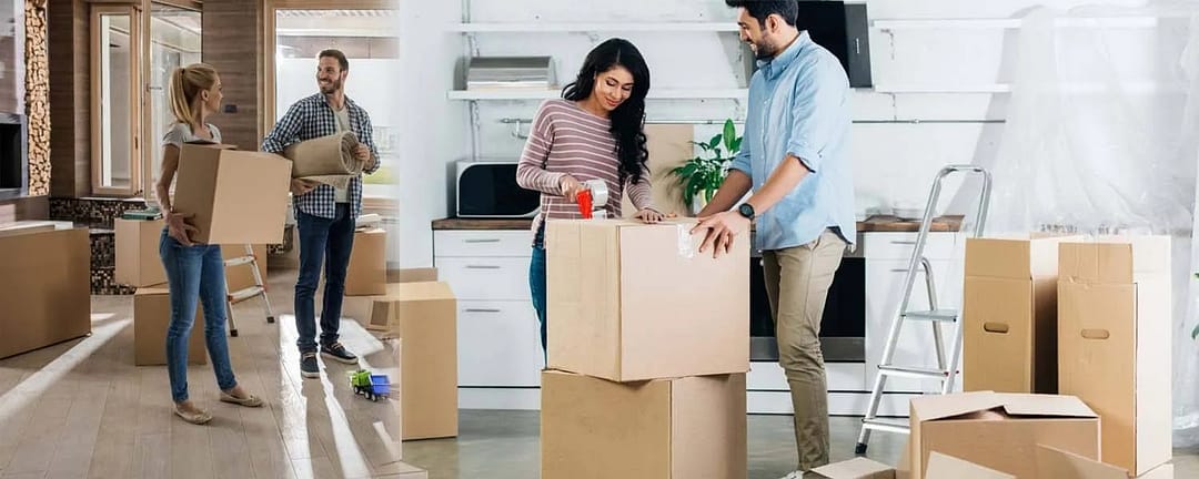 Redefining Local and Long-Distance Moves in Ottawa