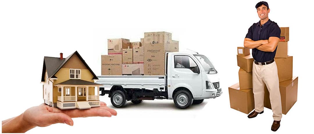 Ottawa’s Best-Kept Secrets: Pro Metro Movers’ Moving Tips