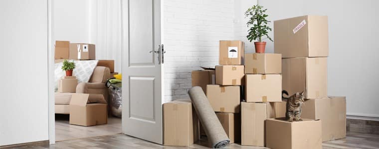 Ottawas Cross-Border Moving Maestros