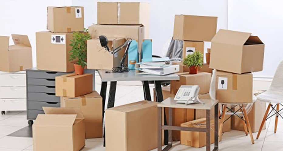 Mastering Moves: Pro Metro Movers' Expertise in Ottawa's Local Scene