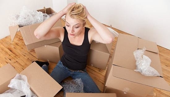 Ottawas Cross-Border Moving Maestros