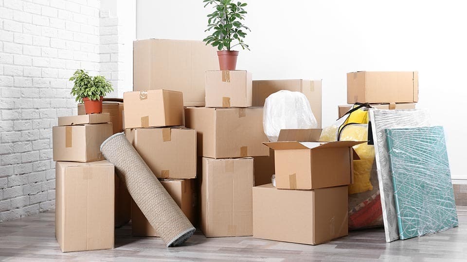 Efficient Respect movers in ottawa
