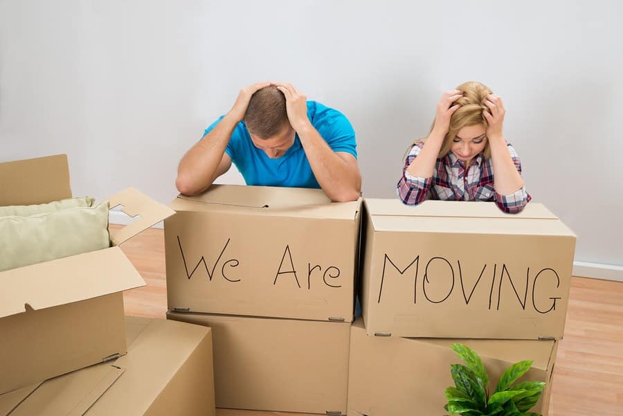 Your Partner for a Seamless Ottawa Relocation